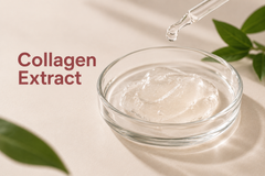 Collagen Extract
